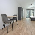 Vermietung eines hellen Studios, 28 m², Bezirk Staré Mesto, Bratislava, Slowakei
